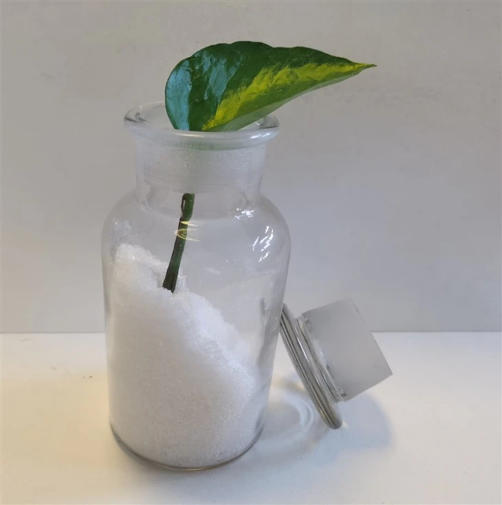 Calcium Nitrate Crystalline Fertilizers