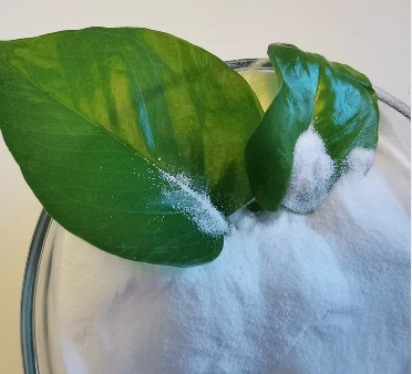 High Quality Potassium Nitrate KNO3 Fertilizer