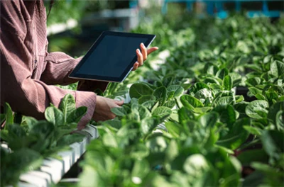 Syngenta odpira platformo Cropwise za zunanje razvijalce, kar omogoča uporabo...