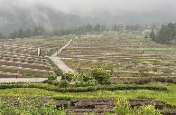 (Ne)Skrita tveganja poškodb pridelka koruze