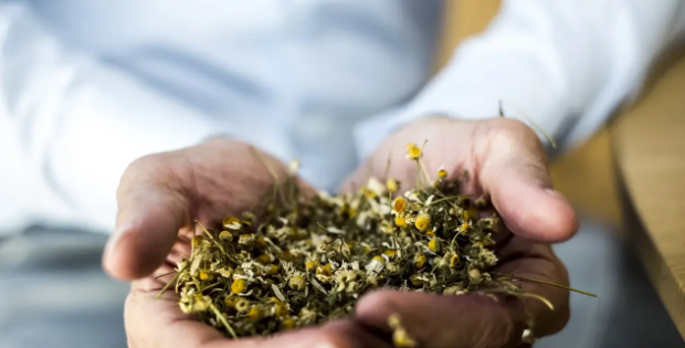 info-620-315 info-620-315