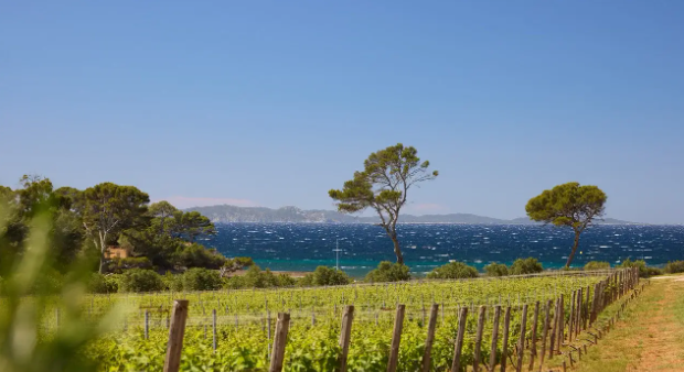 info-620-338 info-620-338