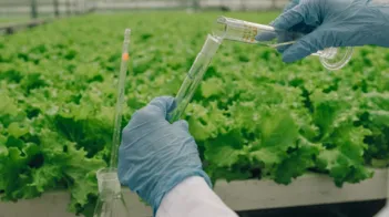 Industrija gnojil se usmerja k integriranim agronomskim sistemom, stran od sa...