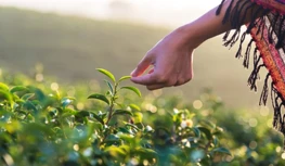 CropLife India si prizadeva za 5-letno varstvo podatkov in opozarja na zoženj...