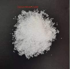 product-244-239 product-244-239